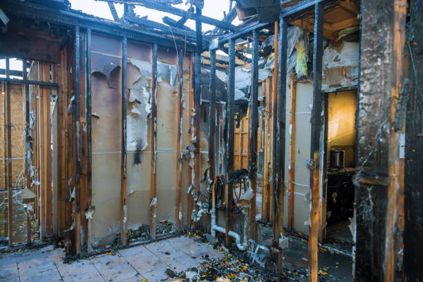 Professional Fire Damage Removal technician working in La Plata, MO